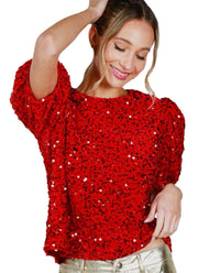 Velvet Sequin Accent Round Neck Puff Sleeve Blouse