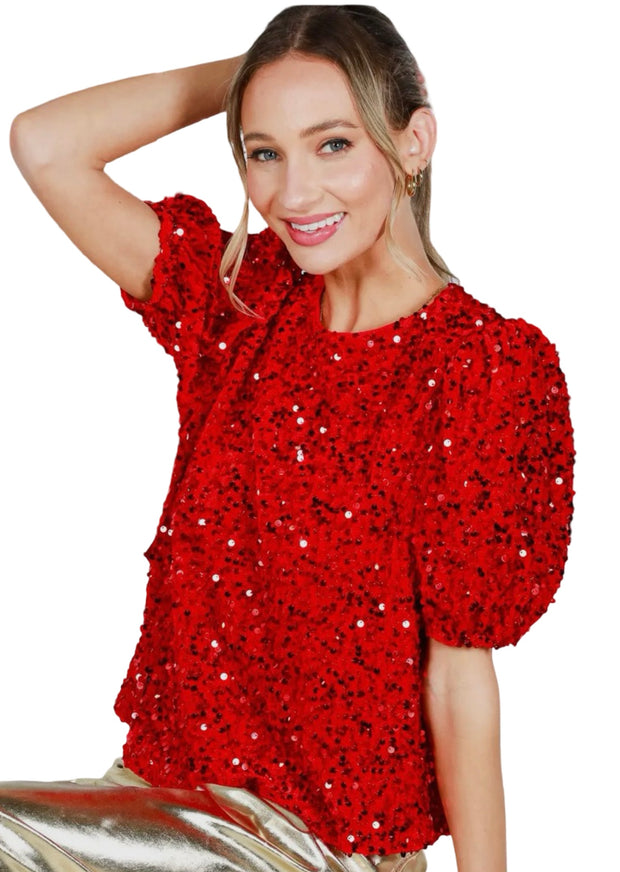 Velvet Sequin Accent Round Neck Puff Sleeve Blouse