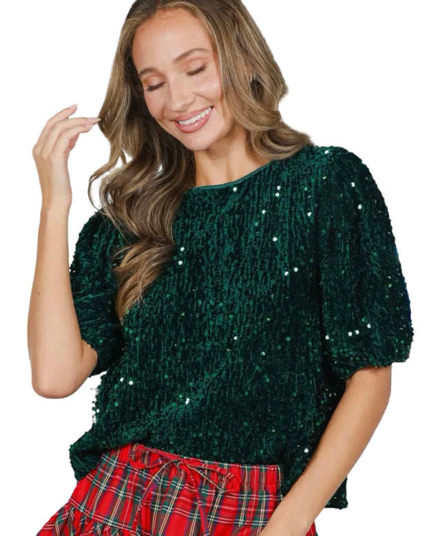 Velvet Sequin Accent Round Neck Puff Sleeve Blouse