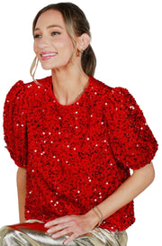 Velvet Sequin Accent Round Neck Puff Sleeve Blouse